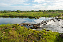 fishing nets in river