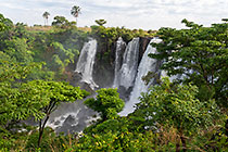 waterfall between green trees