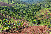 terrace-like field on mountain slope