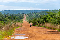 motorcycle & truck on red soil road with water potholes through green vegetation