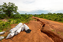charcoal bags next to water erosion on red soil road