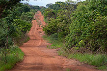 red soil road through green vegetation