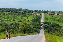 people walking on road near village