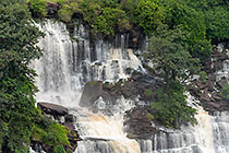 waterfall & green vegetation