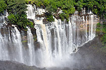 waterfall & green vegetation