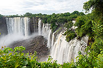waterfall & green vegetation