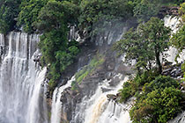 waterfall & green vegetation