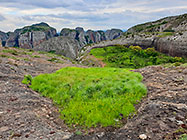 huge granite boulders between green vegetation