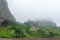 huge granite boulders between green vegetation in mist