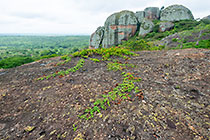 climber on rock & huge granite boulders between green vegetation
