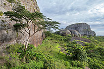 huge granite boulders between green vegetation