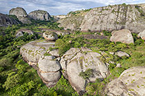 huge granite boulders between green vegetation