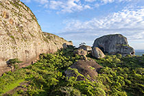 huge granite boulders between green vegetation