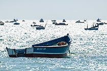 boats amchered in sea