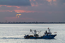 commercial fishing boats in sea at sunset