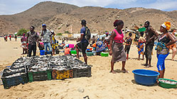 fish market on beach