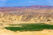 banana plantation near arid sandstone hills