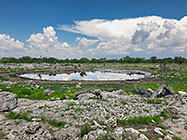 waterhole with cumulus clouds