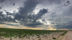grassy plain under stormy clouds