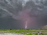lightning & stormy clouds above grassy plain