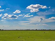 green grassy plain under clouds