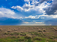 grassy plain under stormy clouds