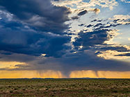 grassy plain under stormy clouds