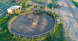 Enya training Etosha & XXX in padock