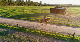 Enya riding Etosha horse
