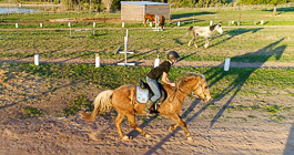 Enya riding Etosha horse