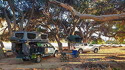 ranger camper  & 4x4 at campsite under tree at sunrise