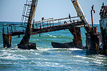 cormoran birds on shipwreck