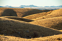 hills covered with dry grass