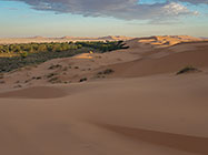 sand dunes at sunset 