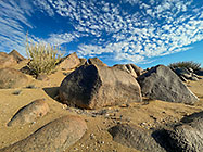 rocks & bushes in arid plain