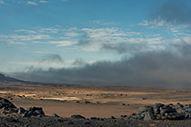 rocks & bushes in arid plain under mist at sunrise