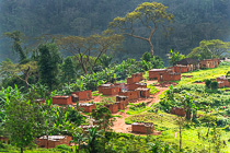 village on green hill