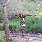 woman carrying dead wood