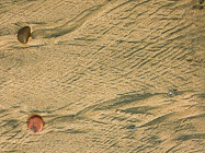 stone & water lines in sand