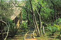 pathway from lodge to river suite through garden