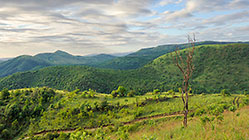 green hills
