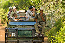 guests in game vehicle watching buffalo