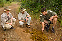 ranger explaining about elephant dung to guests