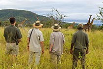 ranger & guests wattching giraffes