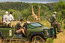 ranger & guests in game vehicle watching giraffes