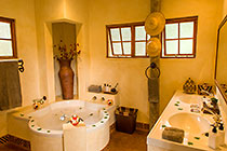river suite : bathroom