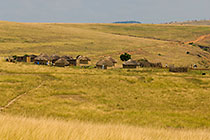 zulu village in rolling grassland