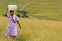 Zulu village : woman carrying water bucket on head