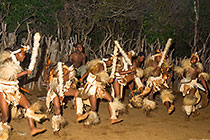 Zulu dancing : dancers