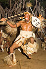 Zulu dancing : dancers